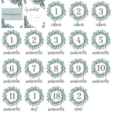 Load image into Gallery viewer, Mánaðamyndir